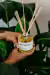Difusor de Varetas Paradise Jasmim e Lima - comprar online