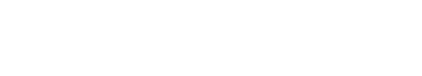 Lion Packing | Fabricante e Desenvolvimento de Válvulas Pump