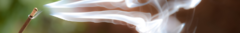 Banner da categoria Atria Aromas