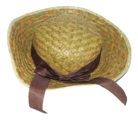 Sombrero De Dama Con Detalle