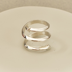 Anillo Rizo en internet