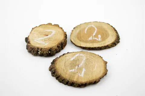 RODAJA DE ÑANDUBAY CON CORTEZA Nº 2 7 A 8 CM