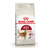 Royal Canin Fit