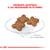 Royal Canin Mini Adult - Mascotas de la Abadía Pet Shop
