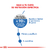 Royal Canin Weight Care - comprar online