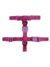 Zeedog Arnes Brain - comprar online