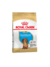 Royal Canin Dachshund Puppy - comprar online