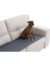 Dulce Compañia Pillow Cubre Sillón