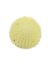 Bestia Peluda Juguete Perro Pelota Erizo Con Chifle - comprar online