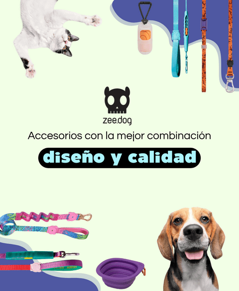 Carrusel 1
