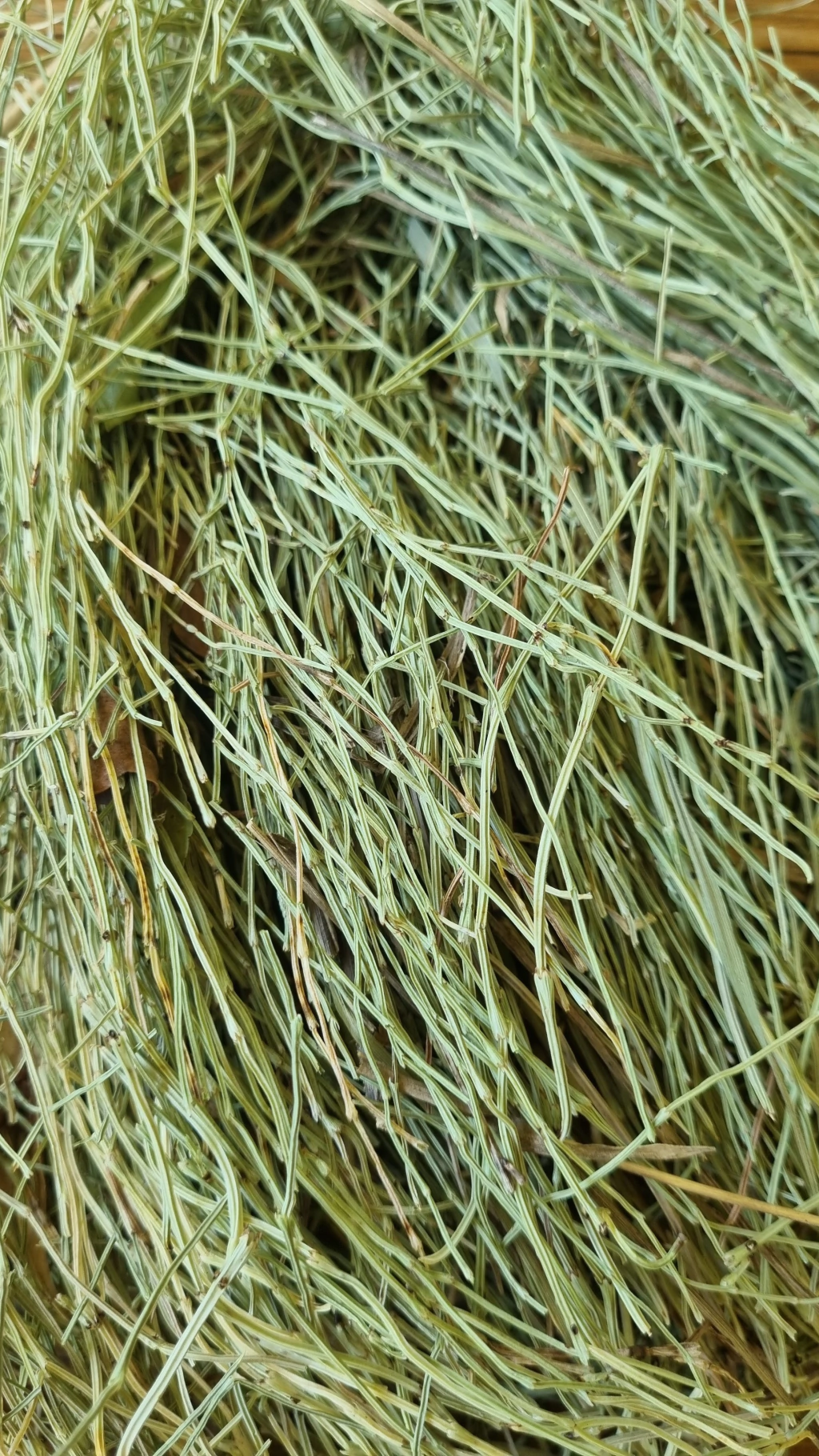 COLA DE CABALLO SECA 50gr