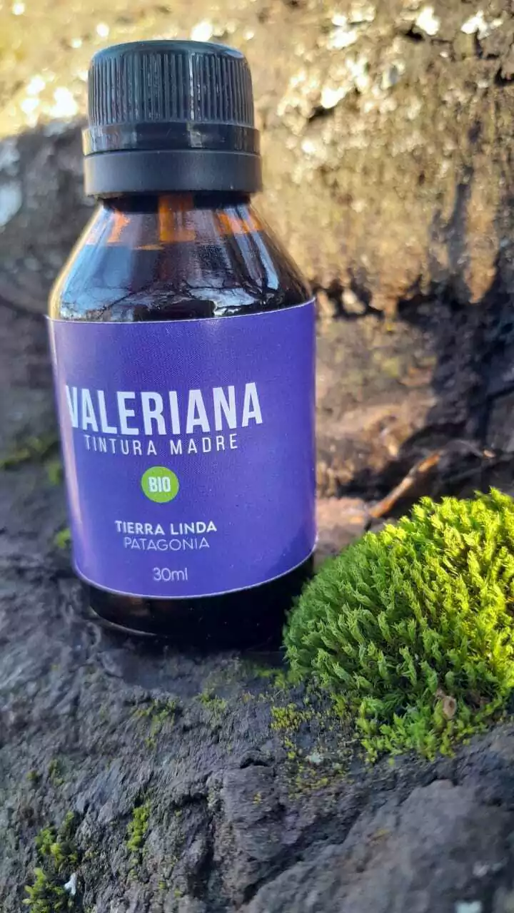 Tintura Madre de Valeriana
