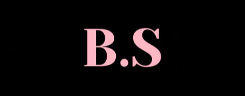 B.s store