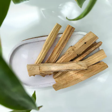 INCENSO PALO SANTO IN NATURA