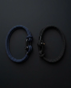 Brace - comprar online