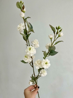 Rama flor de te en internet