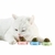 BRINQUEDO PARA GATO CATNIP BALL - SIRI - comprar online