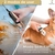 KIT TOSA PET - comprar online