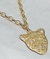 Imagem do Colar Corrente Feminino com Pingente Onça Vazado Folheado Ouro 18k Tigre Dourado Tendência Moda Presente