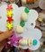 Presilha de Cabelo Búzios Estrela do Mar Conchas Coloridas Bico de Pato Folheado 18k / Grampo de Cabelos/ Hair Clips/ Praia Verão - loja online