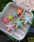 Presilha de Cabelo Búzios Estrela do Mar Conchas Coloridas Bico de Pato Folheado 18k / Grampo de Cabelos/ Hair Clips/ Praia Verão - comprar online