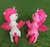 Imagem do Brinquedo Poney que Anda Musical Som Luz Colorido Toca Musica Unicôrnio Ponei c/Asas para Crianças Infantil