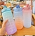 Kit 3 Garrafas de água Motivacional 2l Litros 900ml 300ml Squeeze Galão Garrafa Adulto Infantil Colorida degradê Fitness Trabalho