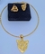 Imagem do Kit Conjunto Colar e Brincos Feminino Choker Elo Aro Fio Rigido com Pingente Onça Tigre Onça Folheado Ouro Tendência Moda