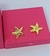Kit Colar e Brincos Elo Aro Rígido Liso com Pingente Estrela do Mar Folheado Ouro Dourado Par de Brinco anti-alérgico Moda Tendência na internet