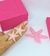 Kit Conjunto Presilha de Cabelo Bico de Pato Prendedor Grampo Estrela do Mar resinado coloridas + Par de Brincos Moda Verão - Store LVO