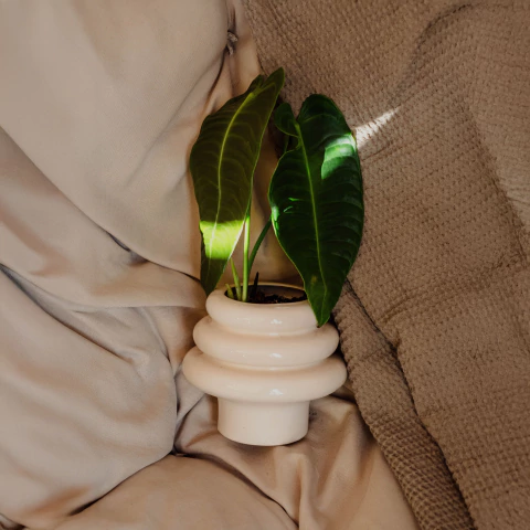 MACETA ARBOL - comprar online