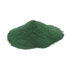 Spirulina En Polvo Gopal Frasco X40G - comprar online