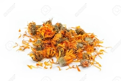 Calendula Flores