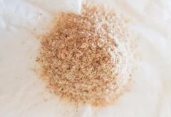 Psyllium