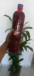 chamoy litro en internet