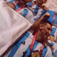Manta para sillon Campeones del mundo en internet