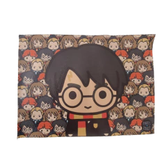 Individual Harry Potter 2da seleccion