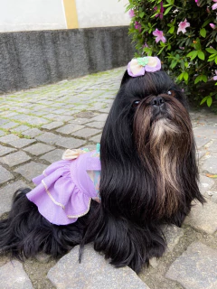 Jardineira Urso Poá Lavanda para cachorro e gato na internet