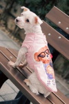 Moletom Ursinhos Rosa para cachorro e gato