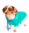 Moletom Snow Coat Verde Água para cachorro
