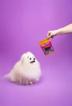 Petisco Natural WOW Moela de pato 50g para cães - Estilo de Vida Pet