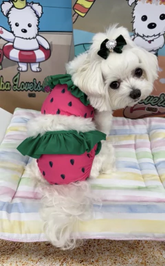 Biquini Melância para cachorro