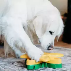 Comedouro Girassol Zippy SmartyPaws Puzzler - Para Cachorro - Estilo de Vida Pet