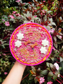 Tapete de Lamber Comedouro Lento - comprar online