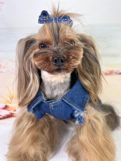 Colete Jeans Glow para cachorro e gato