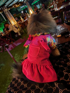 Blusinha Pet Gola Boneca Xadrez Pink para cachorro e gato na internet