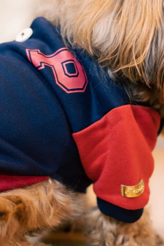 Moletom Colegial para cachorro e gato na internet