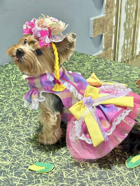 Vestido Festa Junina Anarriê para cachorro e gato - comprar online