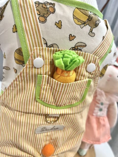 Macacão Páscoa Laranja e Verde para cachorro e gato na internet