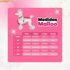 Camisa Junina Xadrez Zezinho das Frô para cachorro e gato - Estilo de Vida Pet